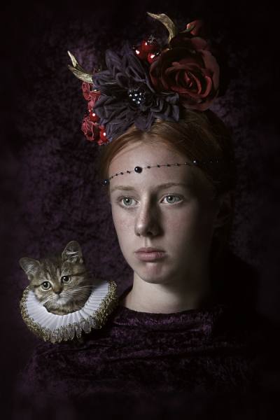 Photograph Carola Kayen Mouthaan Sweet Kitten on One Eyeland